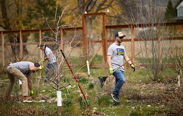 Employees volunteering outside